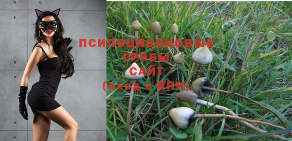 прущая мука Уссурийск