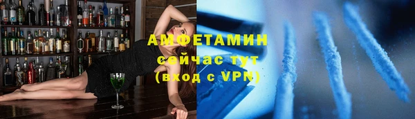 ПСИЛОЦИБИНОВЫЕ ГРИБЫ Гусь-Хрустальный