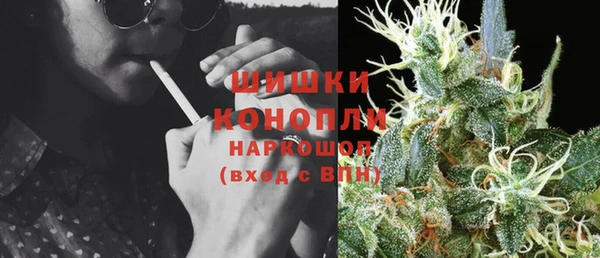 PSILOCYBIN Новочеркасск