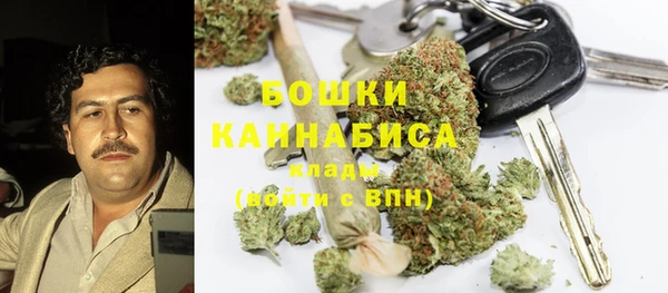 ГАЛЛЮЦИНОГЕННЫЕ ГРИБЫ Гусев