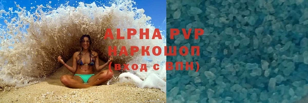 ГАЛЛЮЦИНОГЕННЫЕ ГРИБЫ Дмитриев